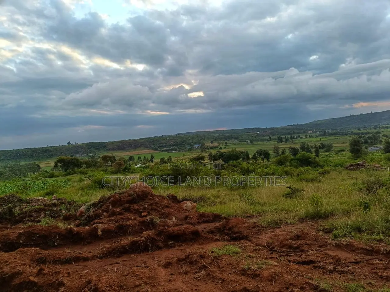 Affordable 50 X 100ft Plots for Sale in Ndiguini, Kikuyu - Secure Your Future Today! in Karai