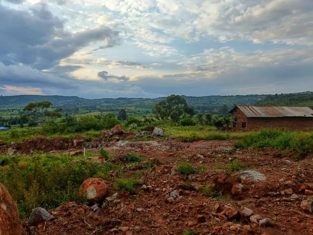 Affordable 50 X 100ft Plots for Sale in Ndiguini, Kikuyu - Secure Your Future Today! in Karai