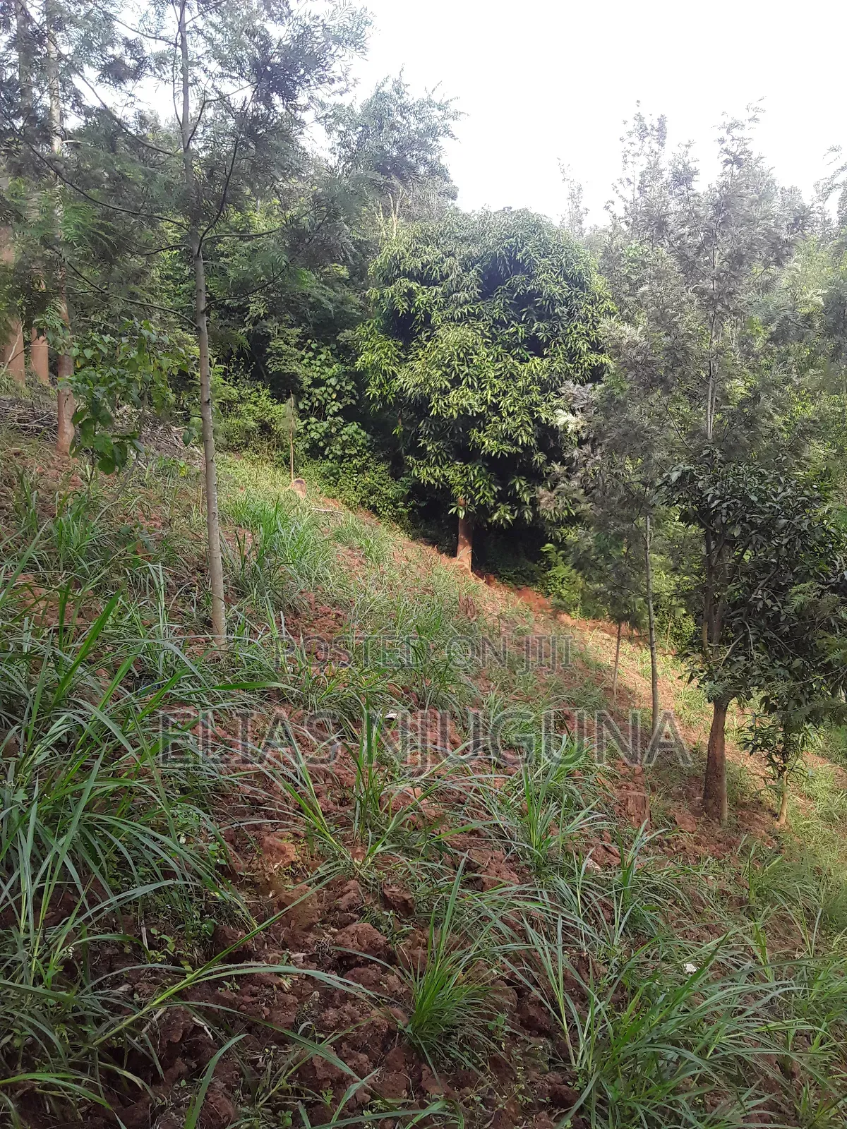 2-Acre Plot in Mukurweini, Nyeri - Ideal for Investment in Rugi