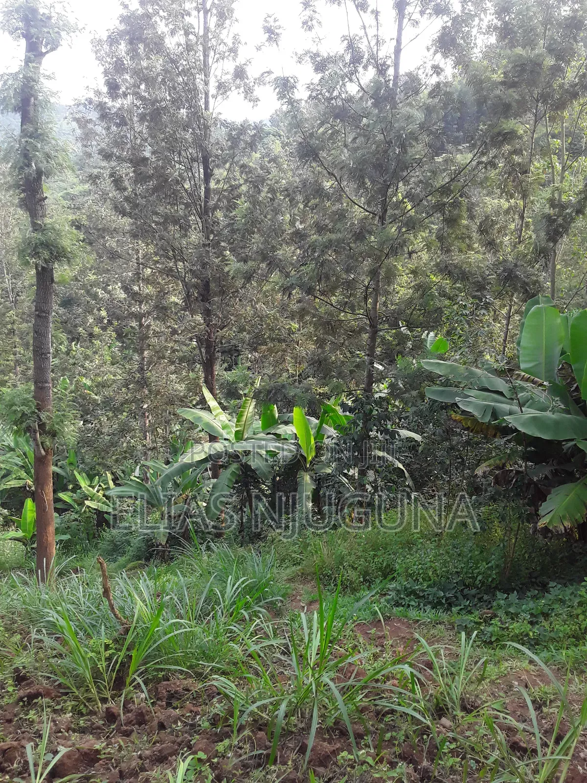 2-Acre Plot in Mukurweini, Nyeri - Ideal for Investment in Rugi