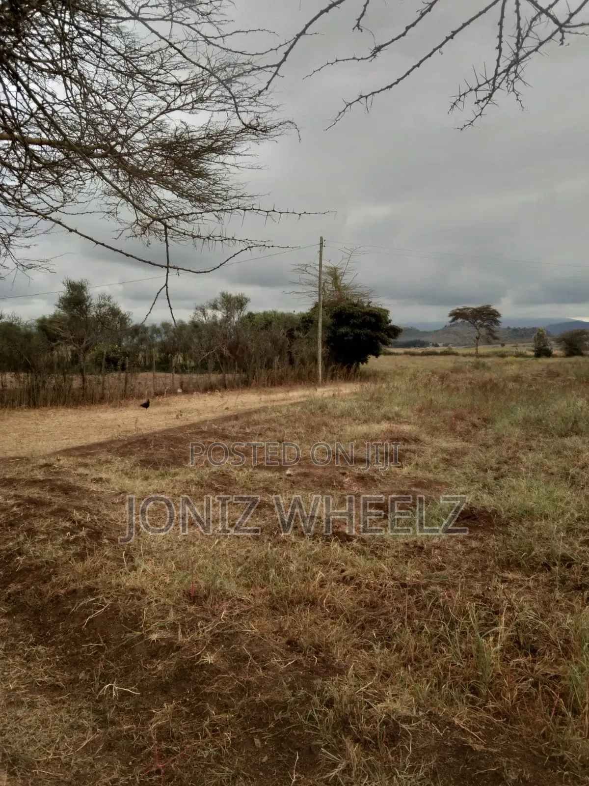 Connected 5-Acre Plot in Moi Ndabi, Naivasha: Water & Electricity Available in Maella