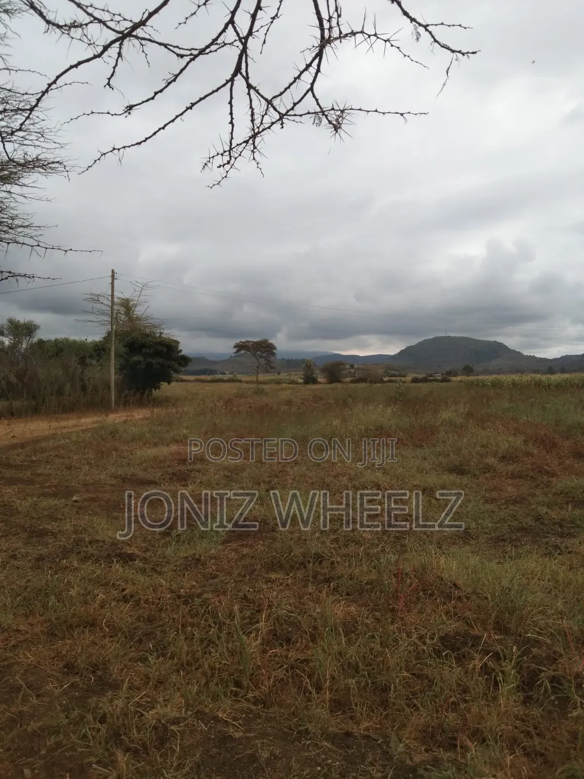 Connected 5-Acre Plot in Moi Ndabi, Naivasha: Water & Electricity Available in Maella