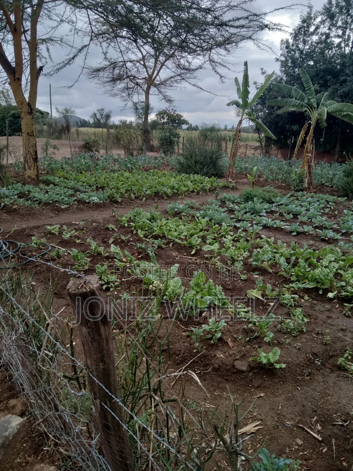 Connected 5-Acre Plot in Moi Ndabi, Naivasha: Water & Electricity Available in Maella