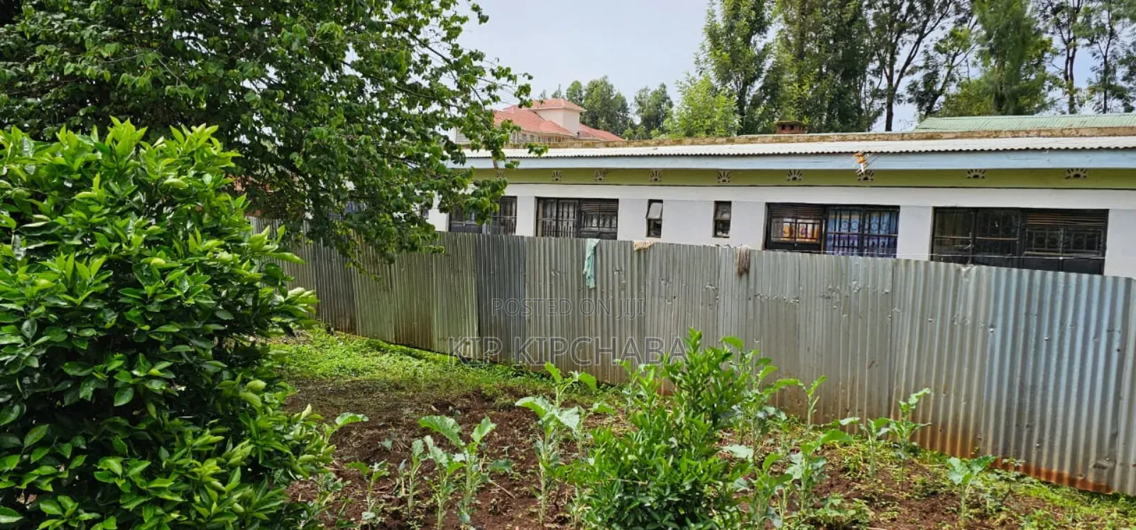 12bdrm House in Kimumu for sale in Kimumu