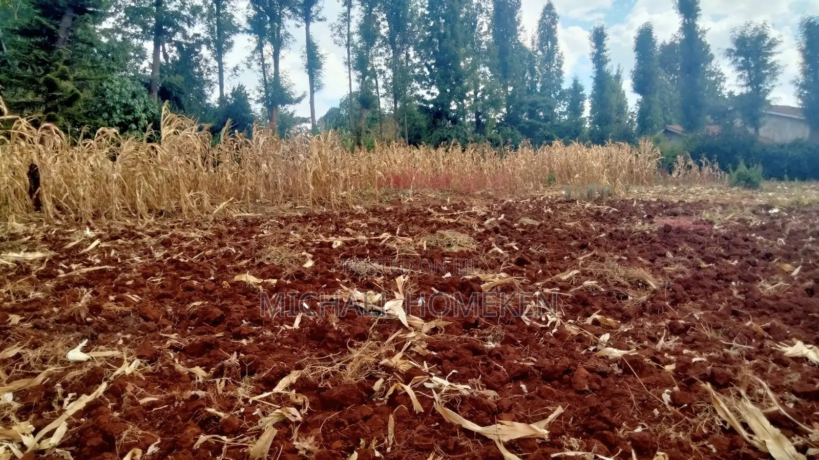 One Acre for Sale in Ngong in Oluulua