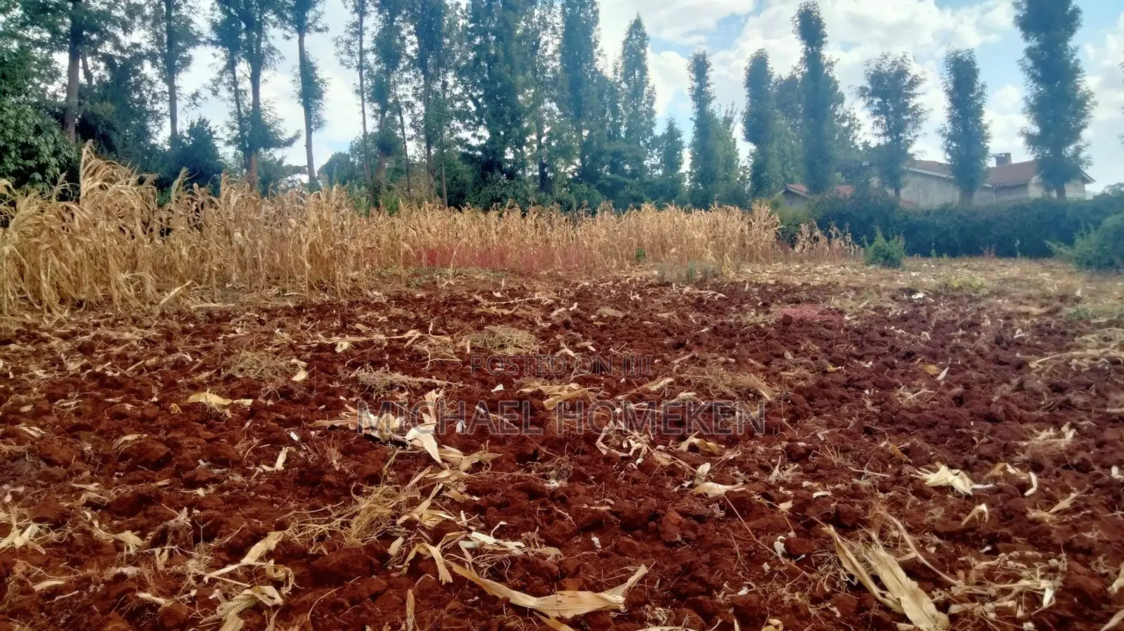 One Acre for Sale in Ngong in Oluulua