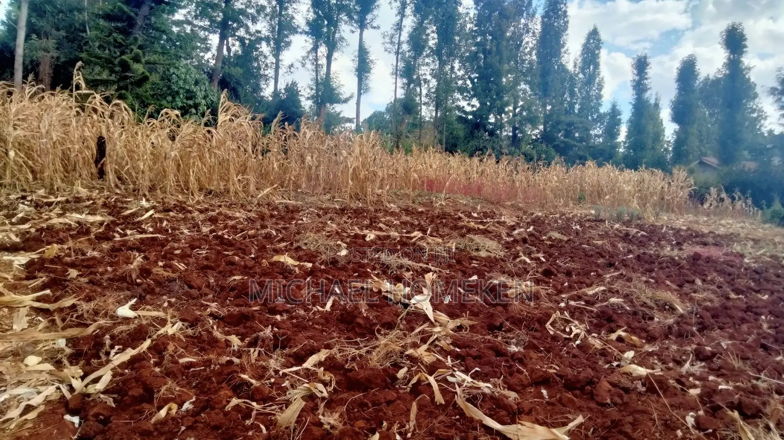 One Acre for Sale in Ngong in Oluulua