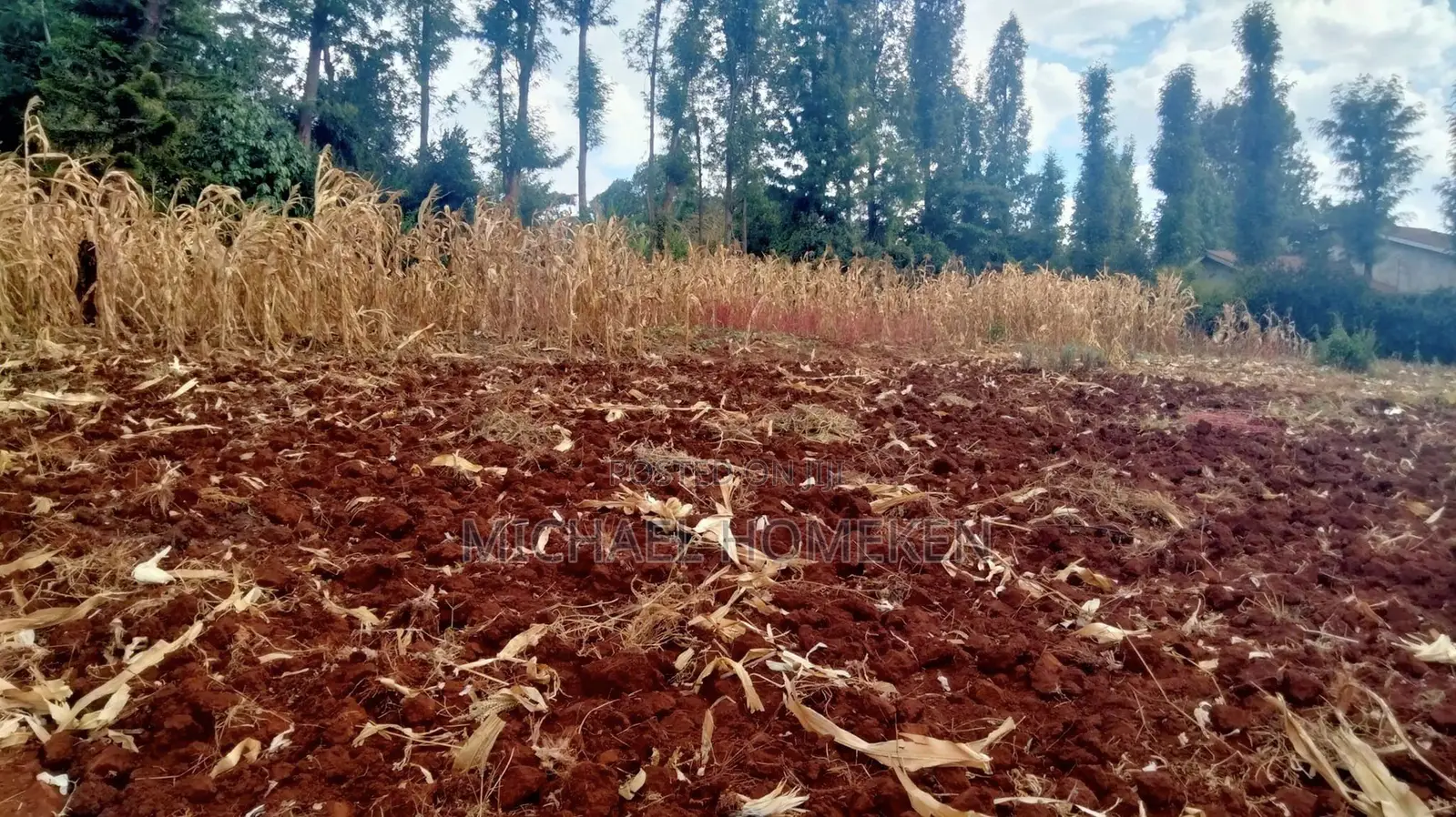 One Acre for Sale in Ngong in Oluulua