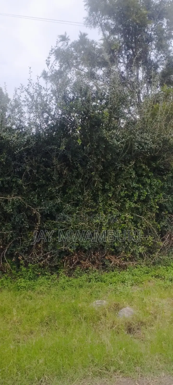 20.8 Acre Land in Mua Hills in Mua Hills