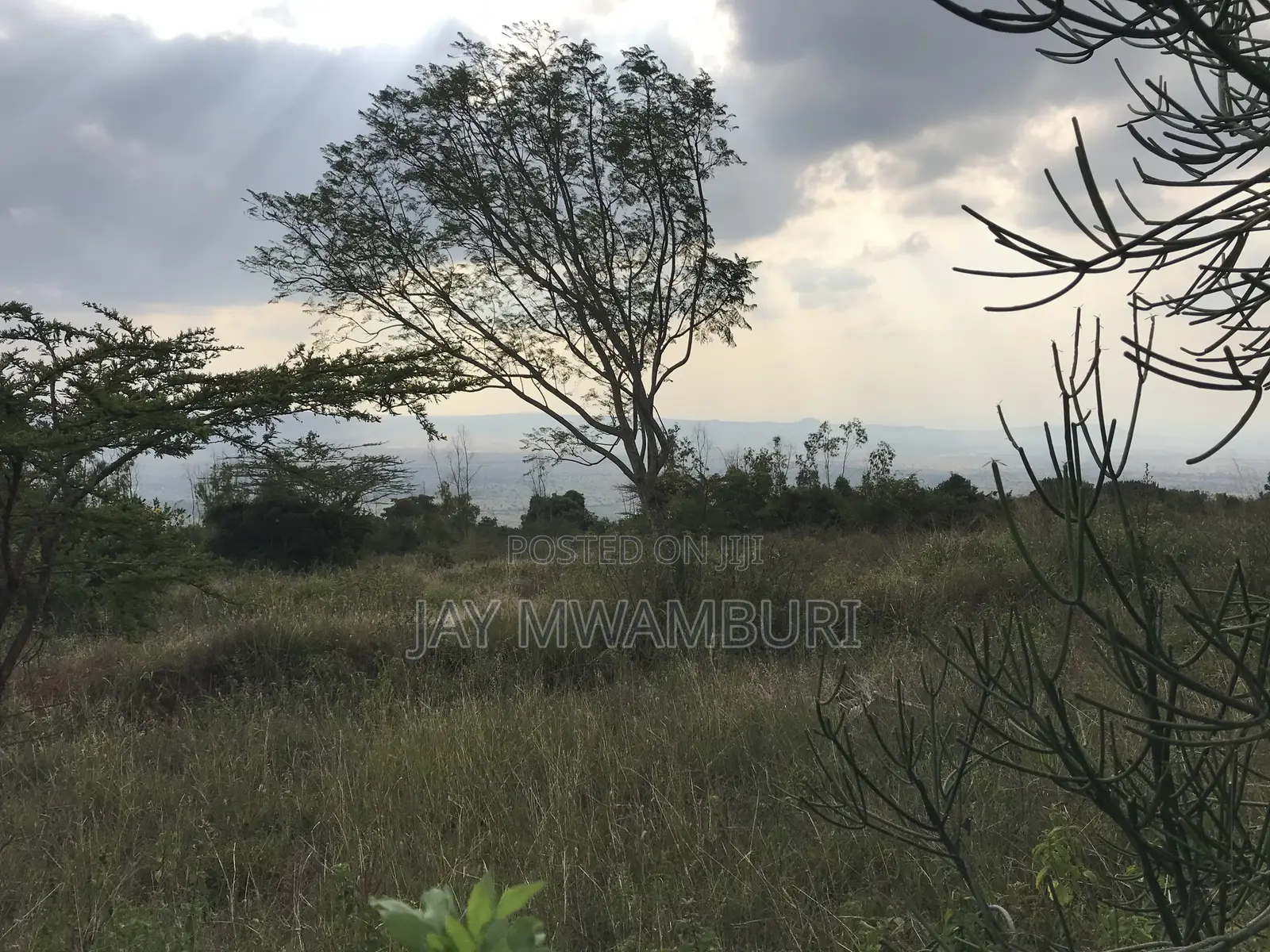 20.8 Acre Land in Mua Hills in Mua Hills