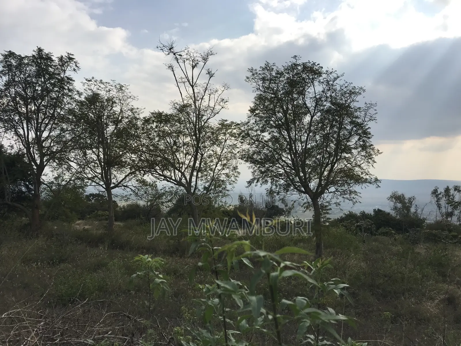 20.8 Acre Land in Mua Hills in Mua Hills