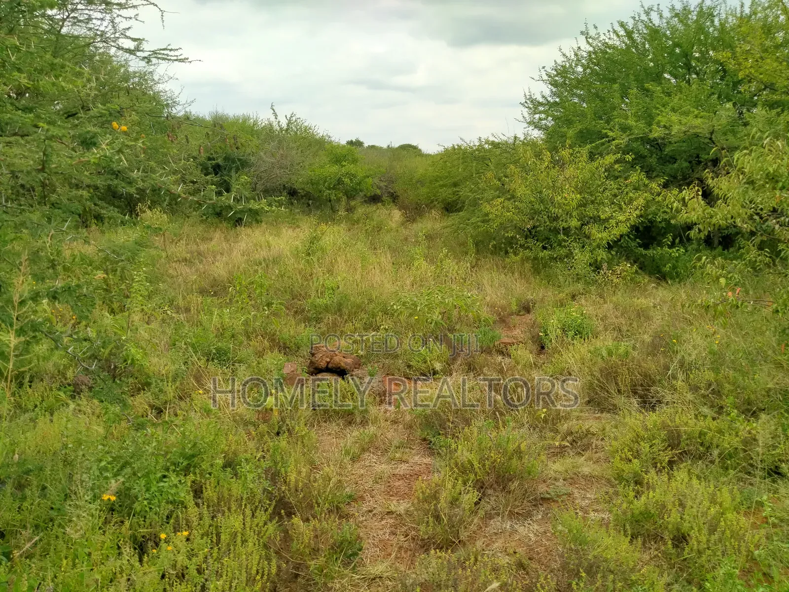 2 and a Half Acres for Sale in Ngong, Saikeri. Red Soil in Ngong