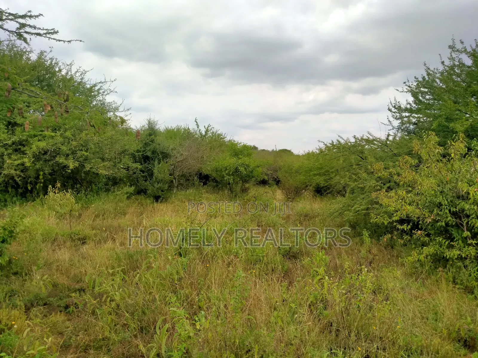 2 and a Half Acres for Sale in Ngong, Saikeri. Red Soil in Ngong