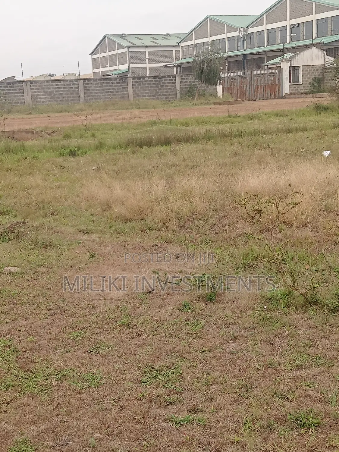 Quarter an Acre on Sale at Kianjau in Thika