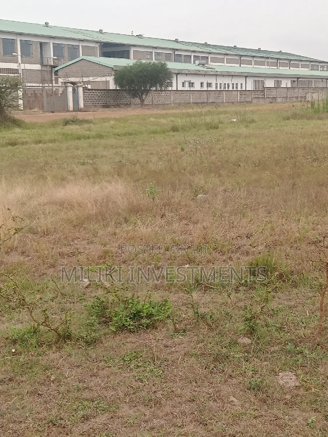 Quarter an Acre on Sale at Kianjau in Thika