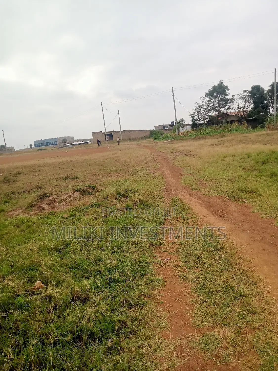 Quarter an Acre on Sale at Kianjau in Thika