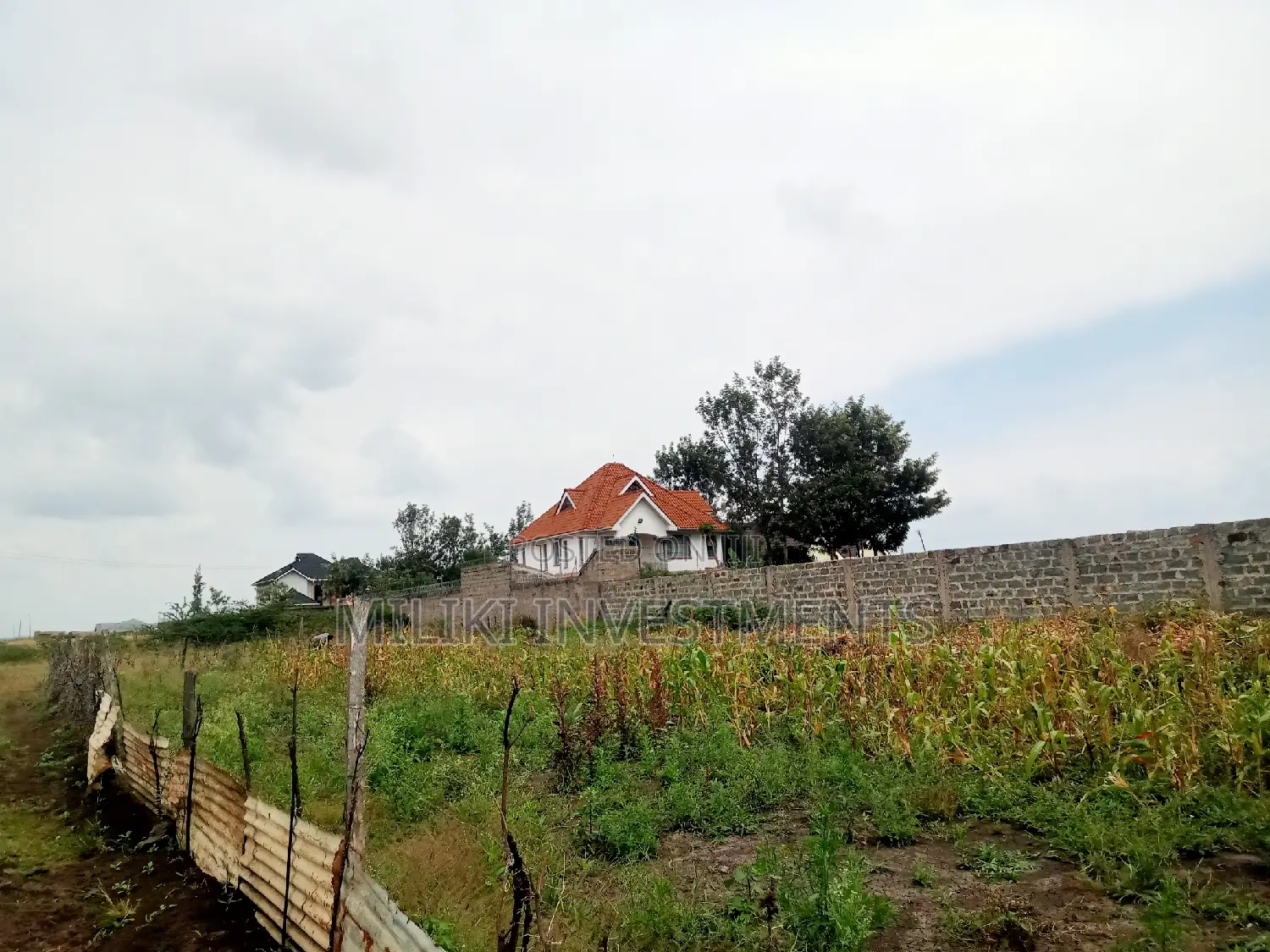 50 by 100 Plot on Sale at Landless.Thika in Thika
