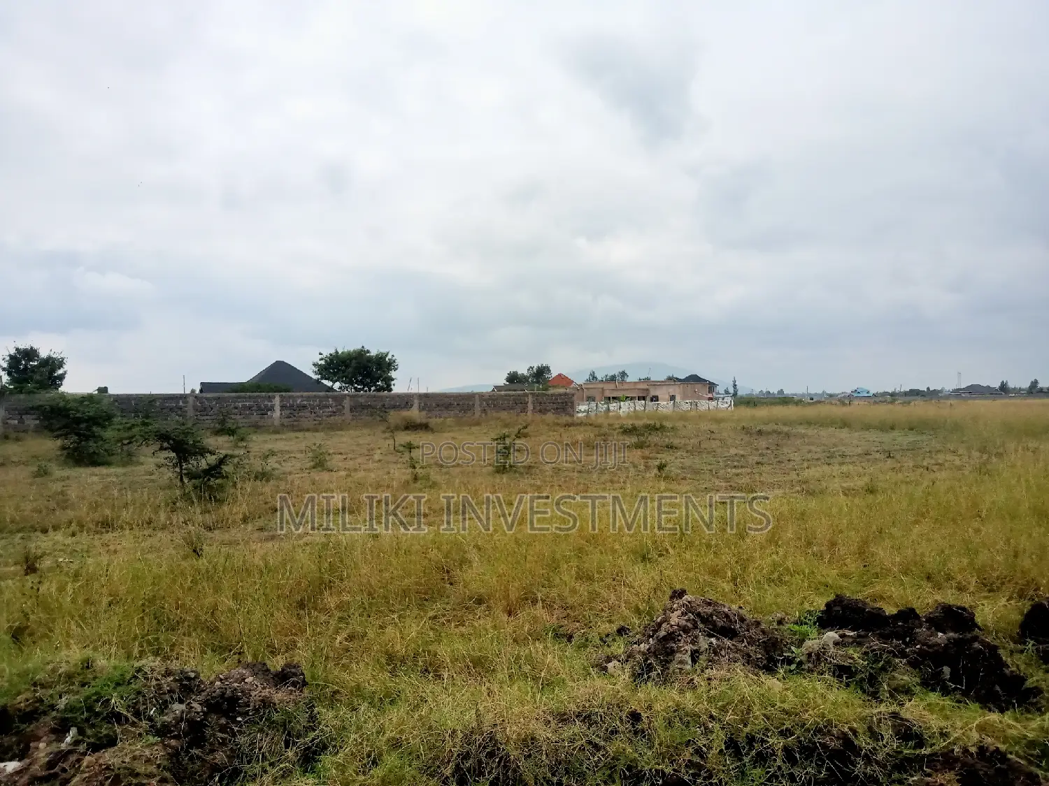 50 by 100 Plot on Sale at Landless.Thika in Thika