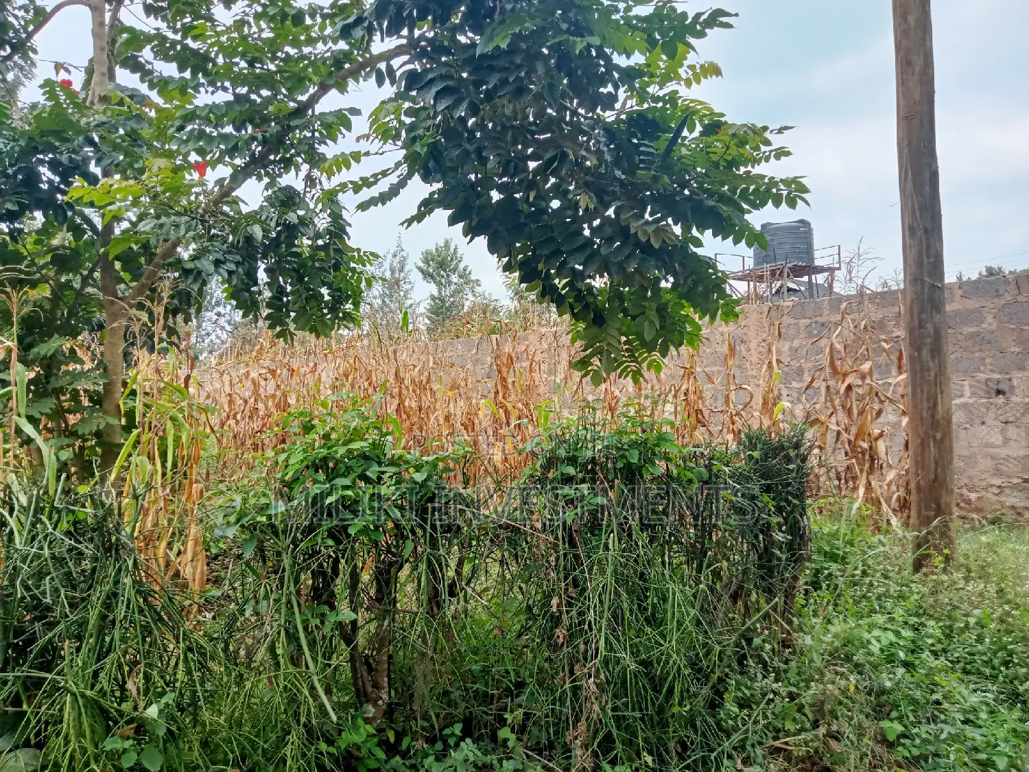 50 by 100 Plot on Sale at Sabasaba in Thika