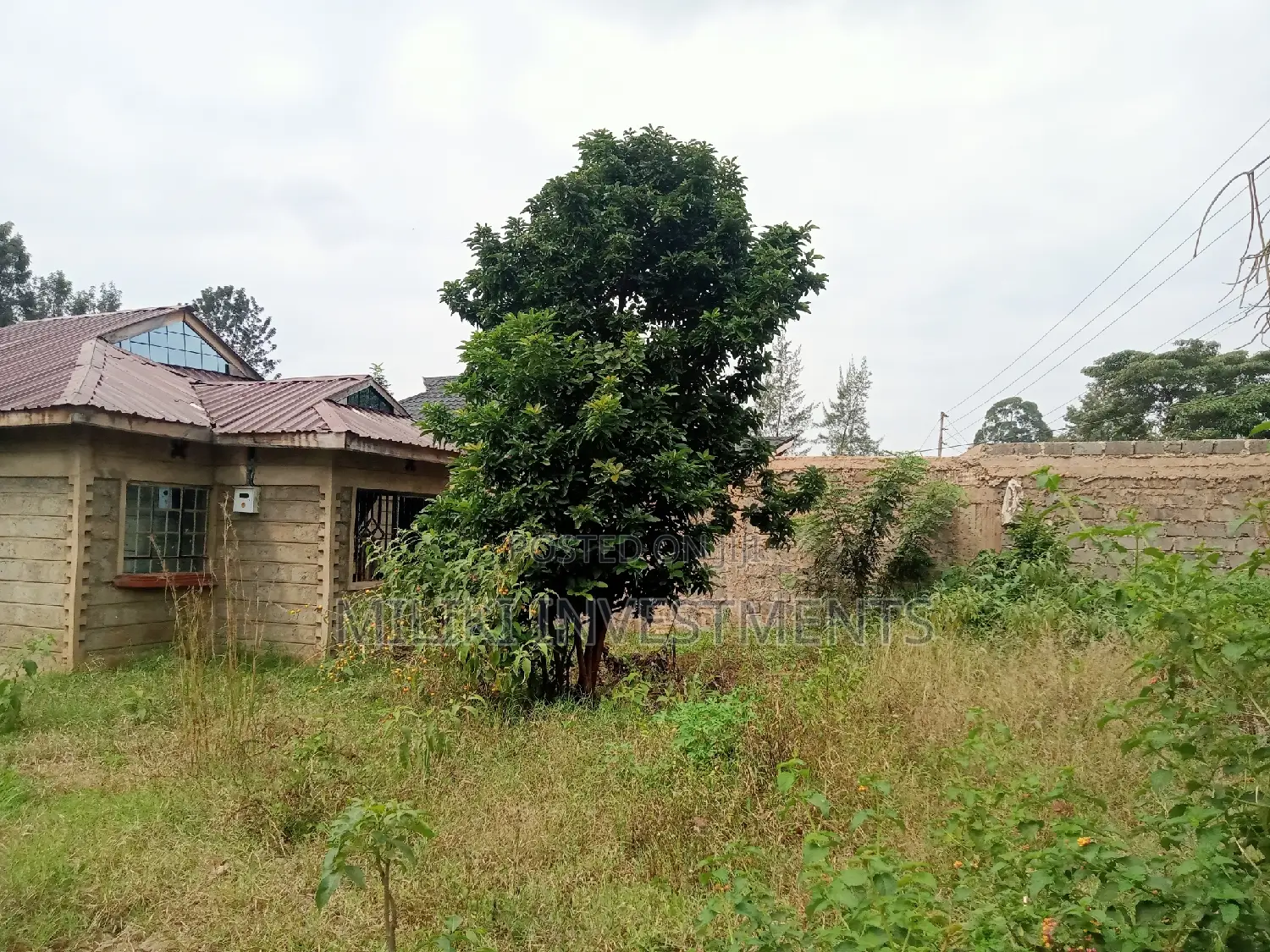 50 by 100 Plot on Sale at Sabasaba in Thika