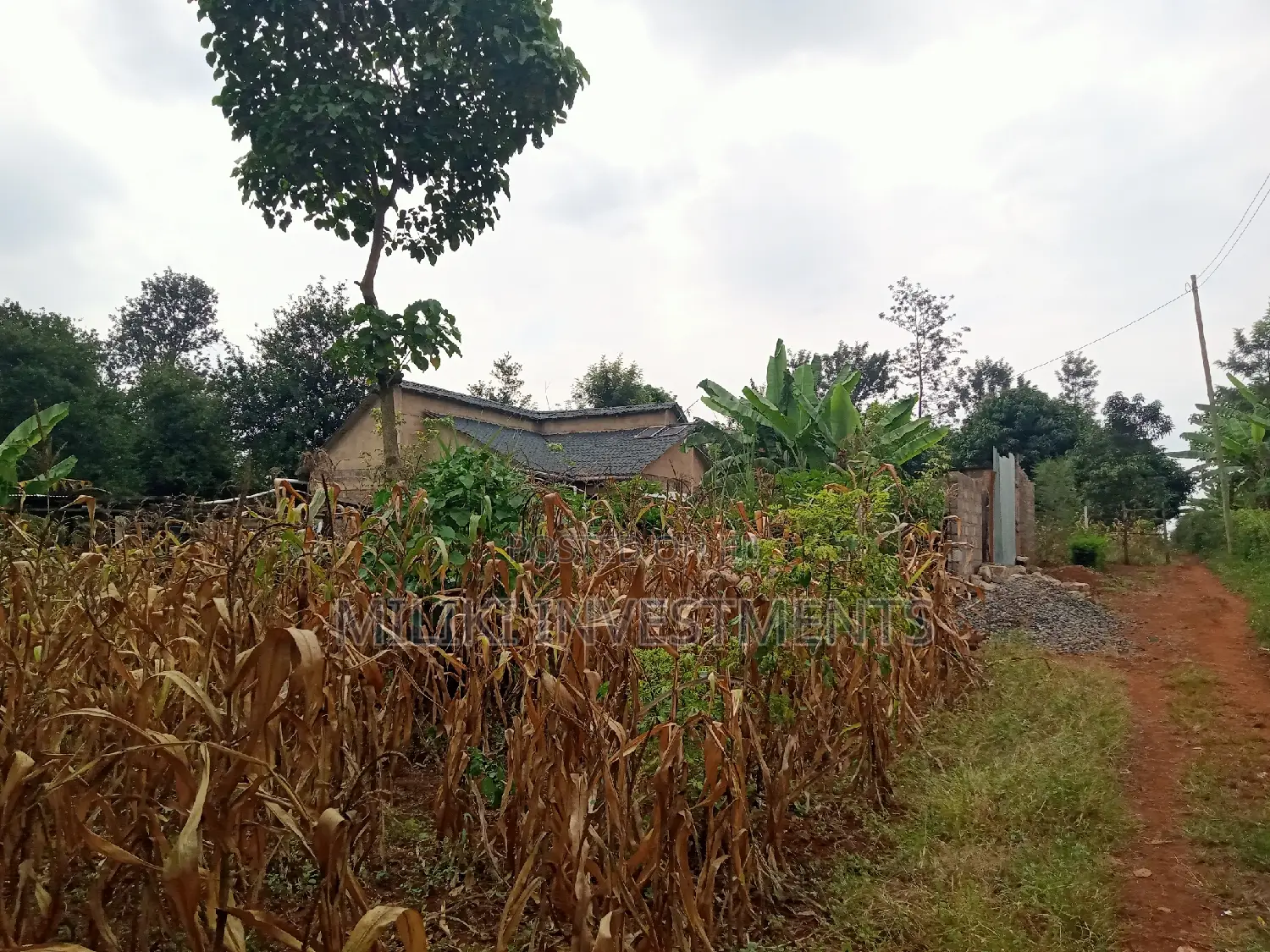 50 by 100 Plot on Sale at Sabasaba in Thika