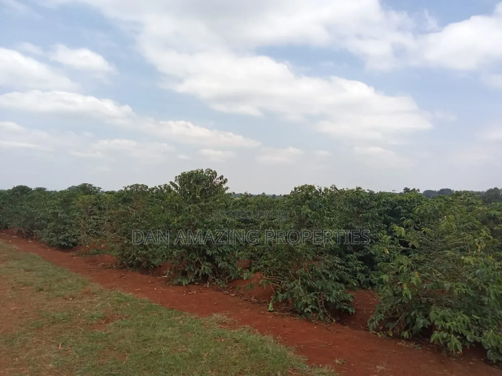 1/4 Acres Fully Serviced Plots for Sale Along Kiganjo Road in Kiganjo