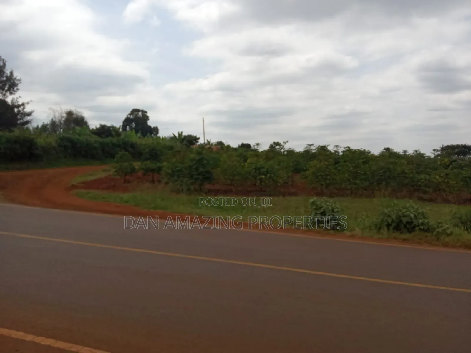1/4 Acres Fully Serviced Plots for Sale Along Kiganjo Road in Kiganjo