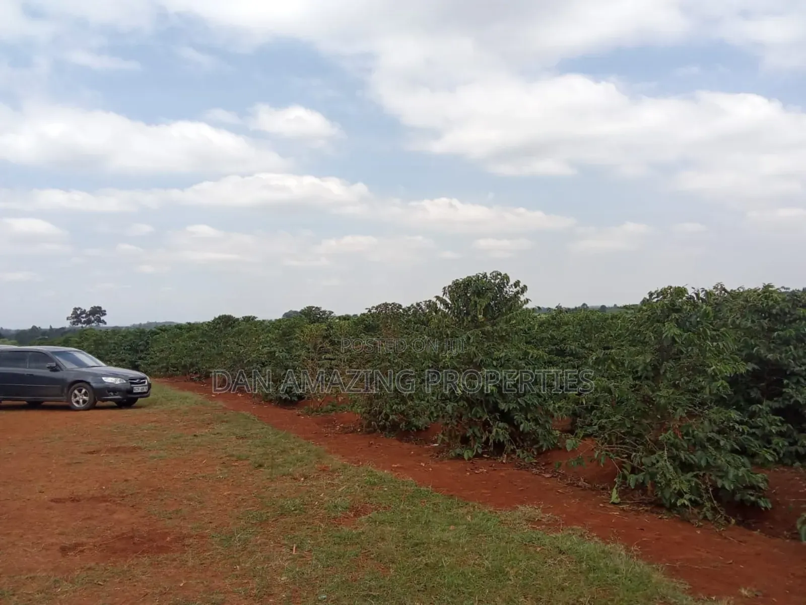 1/4 Acres Fully Serviced Plots for Sale Along Kiganjo Road in Kiganjo