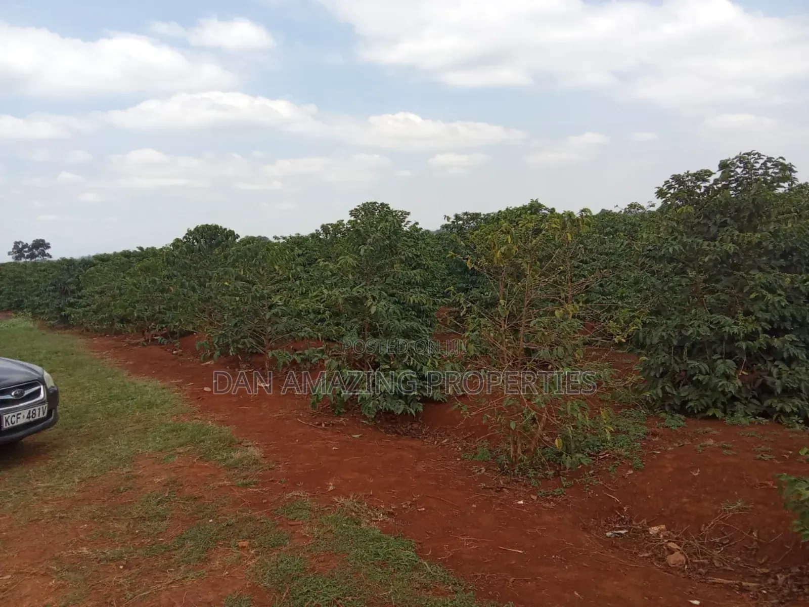 1/4 Acres Fully Serviced Plots for Sale Along Kiganjo Road in Kiganjo
