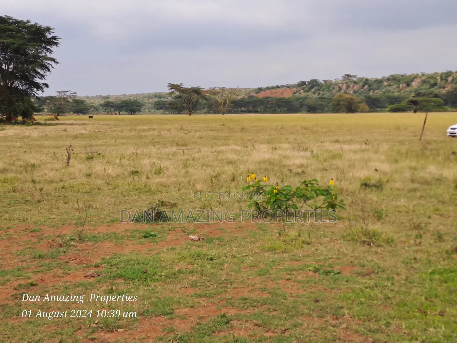 3.6 Acres in Ngong Kimuka Ideal for Farm Land for Sale in Kibiku
