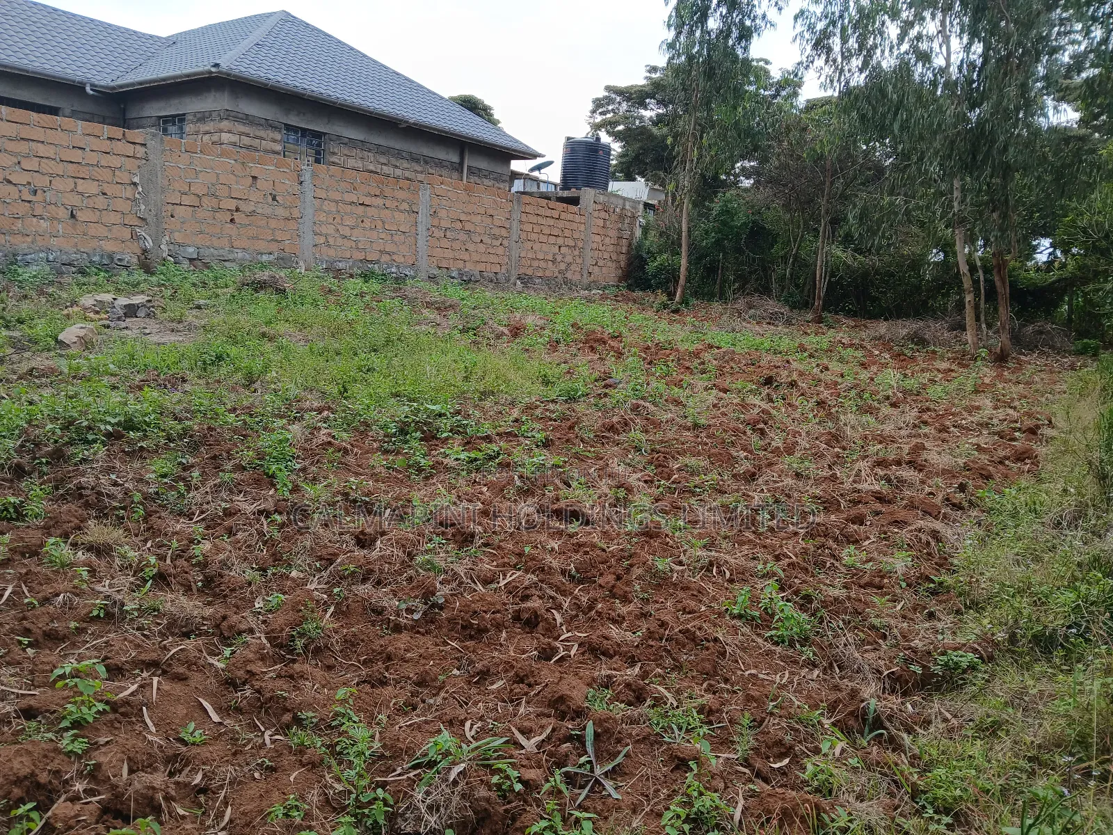 Redsoil Prime Eighth Acre Plot in Matasia in Matasia