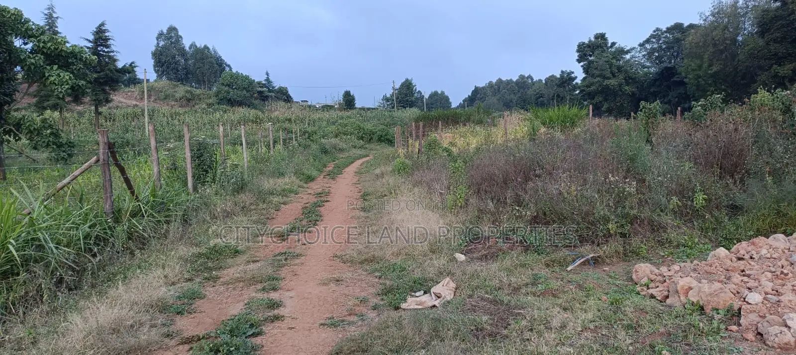 Prime Residential Plot in Kikuyu Thigio in Karai