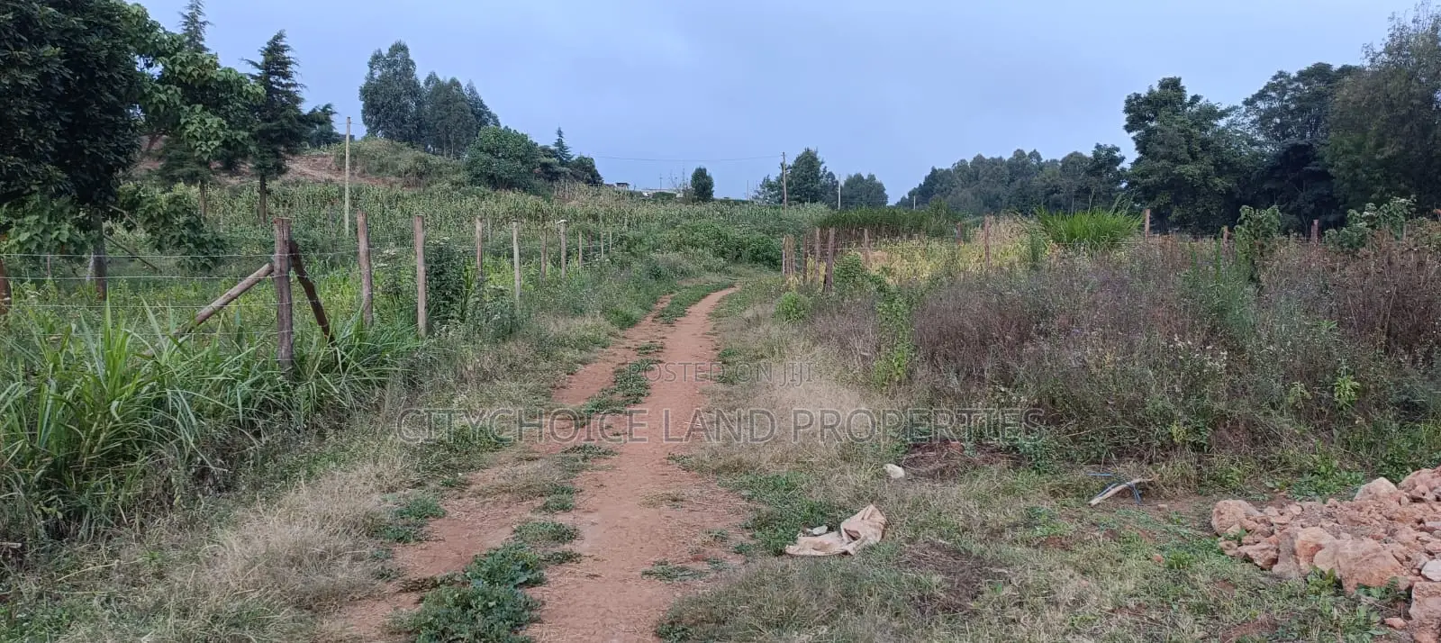 Prime Residential Plot in Kikuyu Thigio in Karai