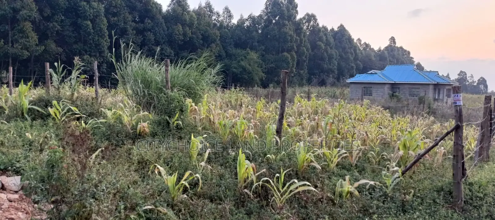 Prime Residential Plot in Kikuyu Thigio in Karai