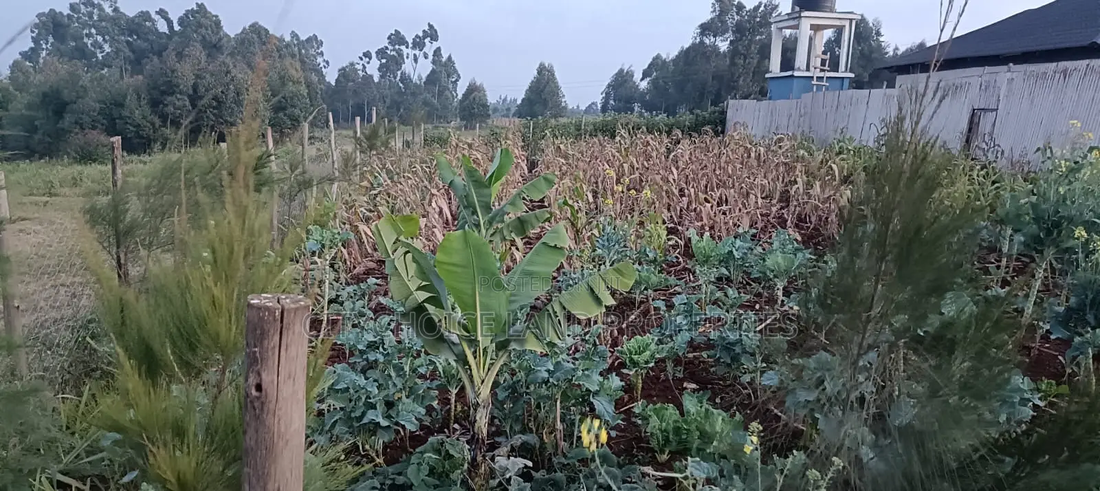 0.05 Land for Sale in Thigio, Kikuyu in Karai