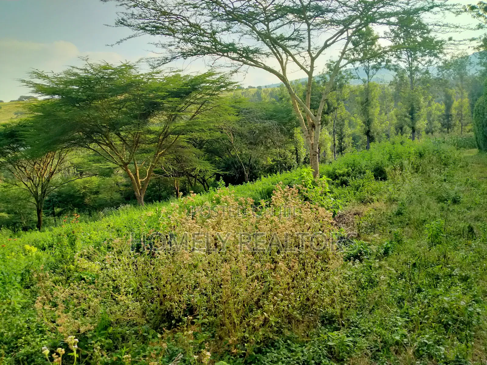 Eighth Acre Plot in Kiserian Along Magadi Rd at St. Patricks in Ngong
