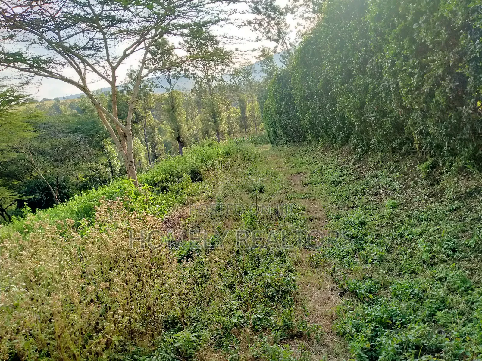 Eighth Acre Plot in Kiserian Along Magadi Rd at St. Patricks in Ngong