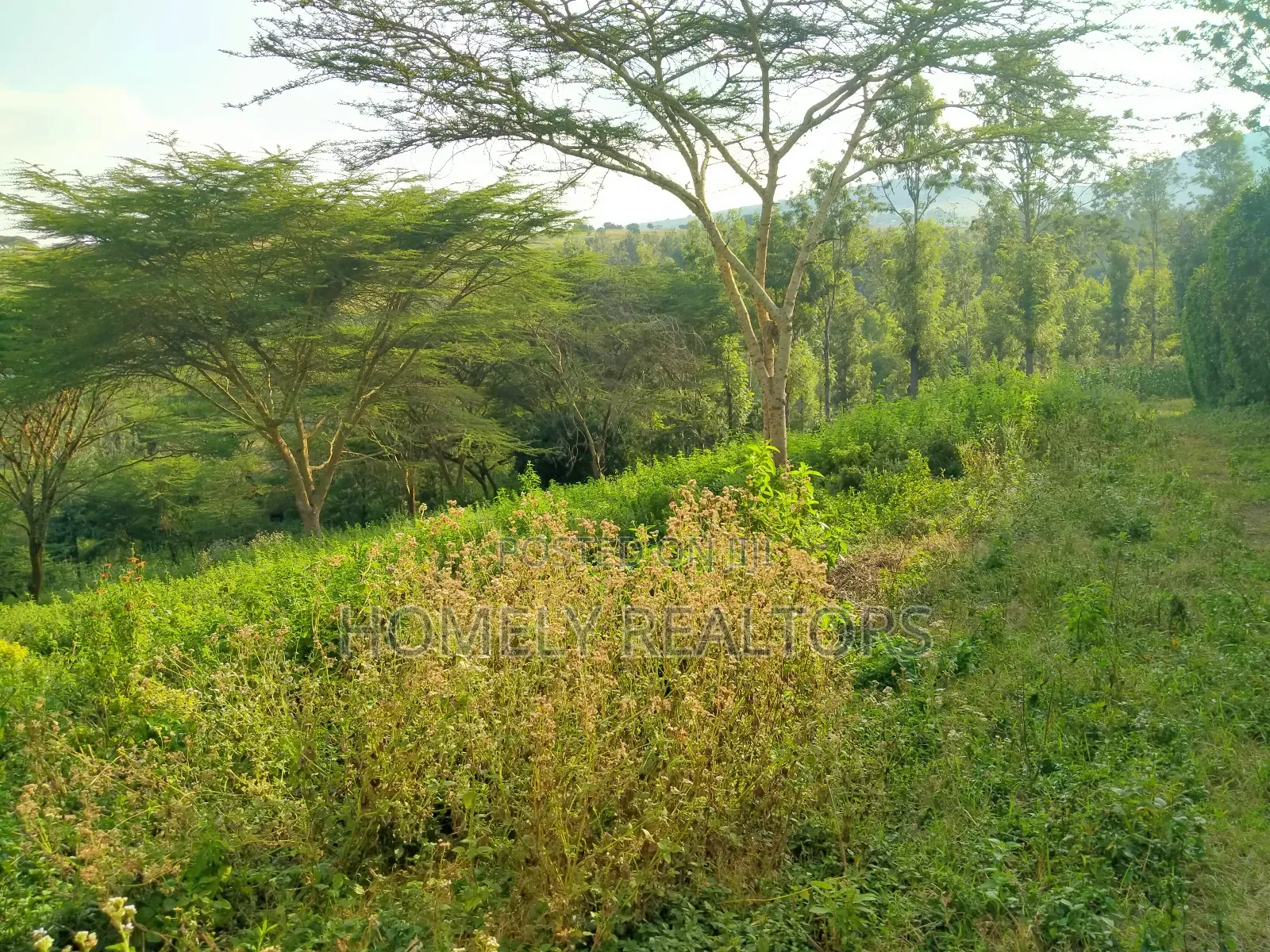 Eighth Acre Plot in Kiserian Along Magadi Rd at St. Patricks in Ngong