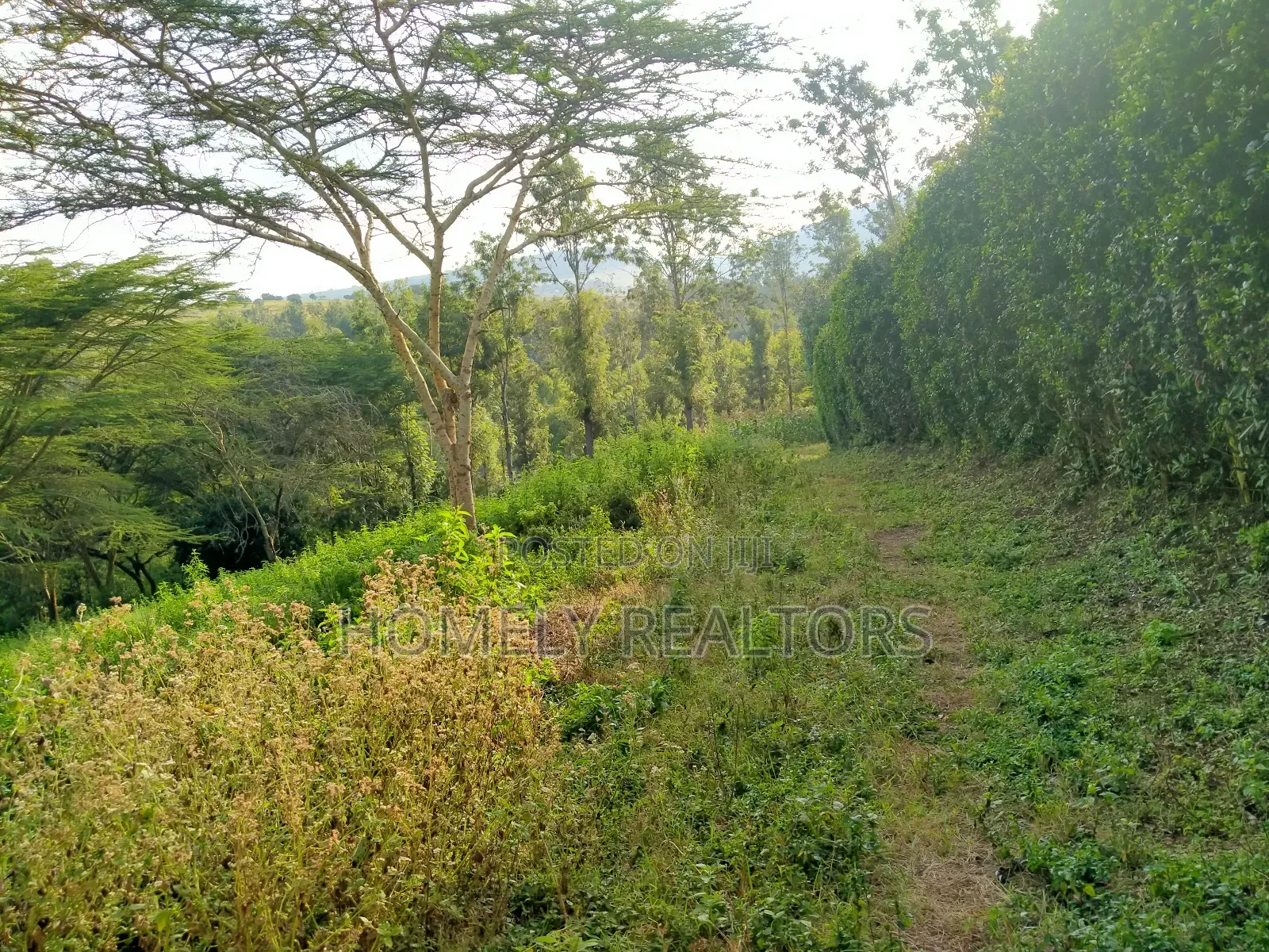 Eighth Acre Plot in Kiserian Along Magadi Rd at St. Patricks in Ngong