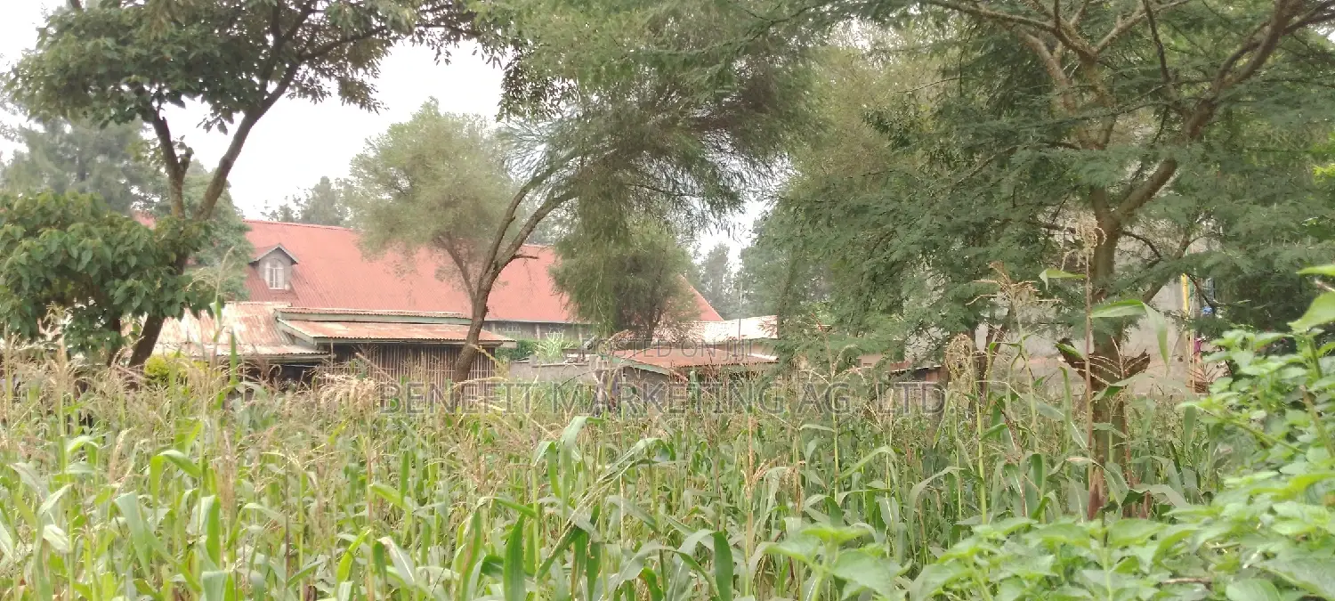 Quarter Acre Plot For Sale In Ngong Kibiko. in Ngong