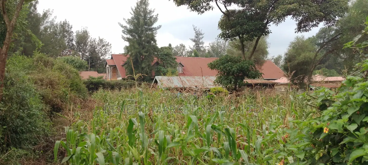 Quarter Acre Plot For Sale In Ngong Kibiko. in Ngong