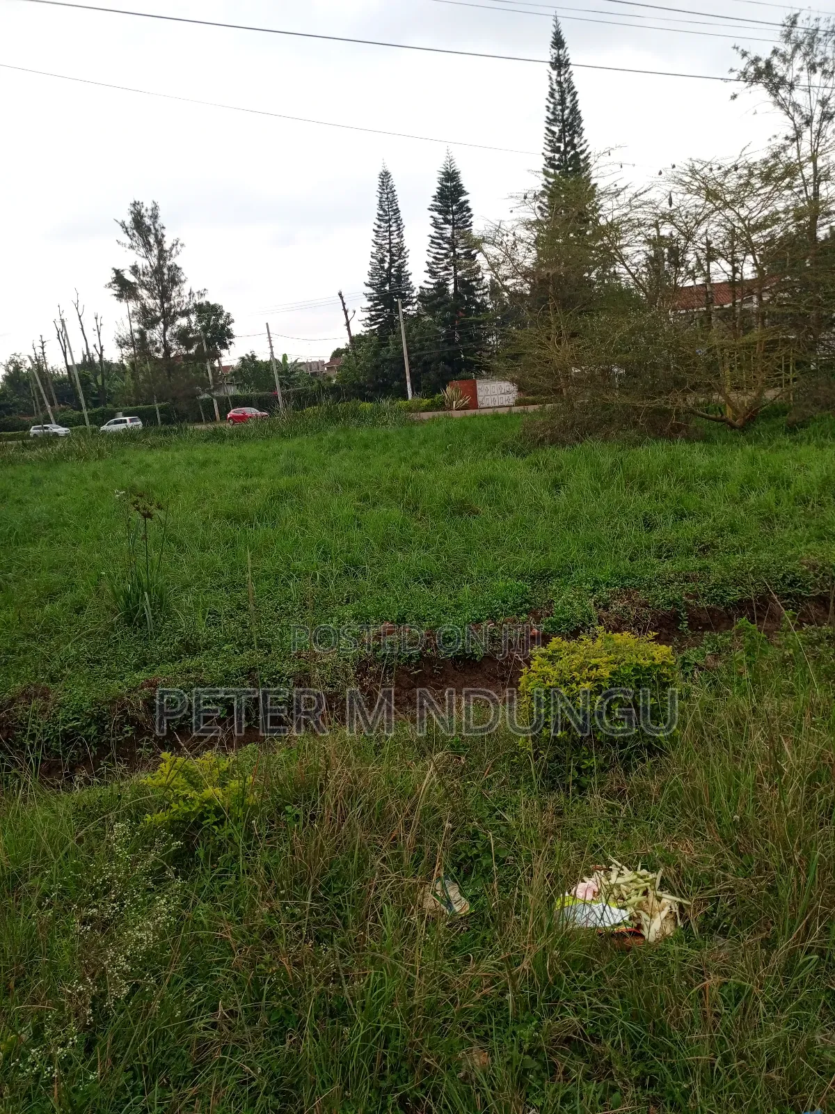 Prime 1/2 Acre Touching Northern Bypass, Thome in Kiambu / Kiambu 