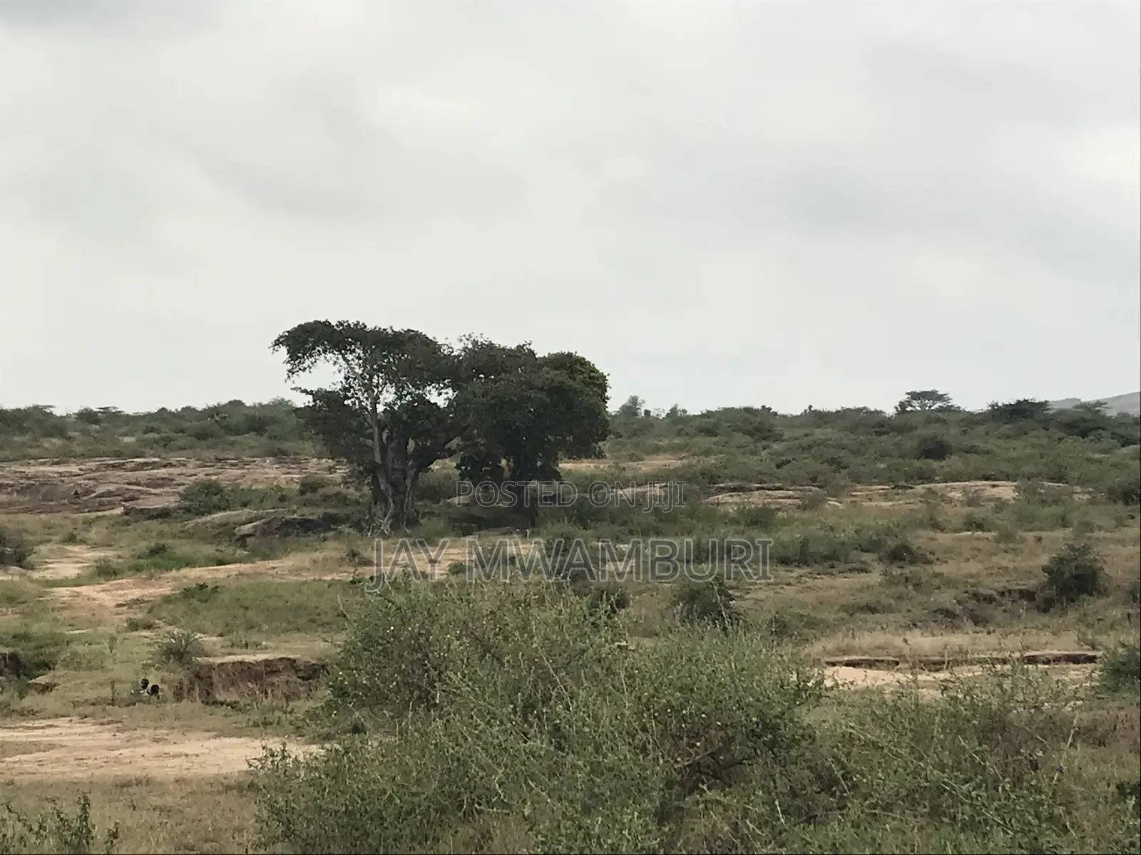 40 Acre Land Kenanie Lukenya in Lukenya