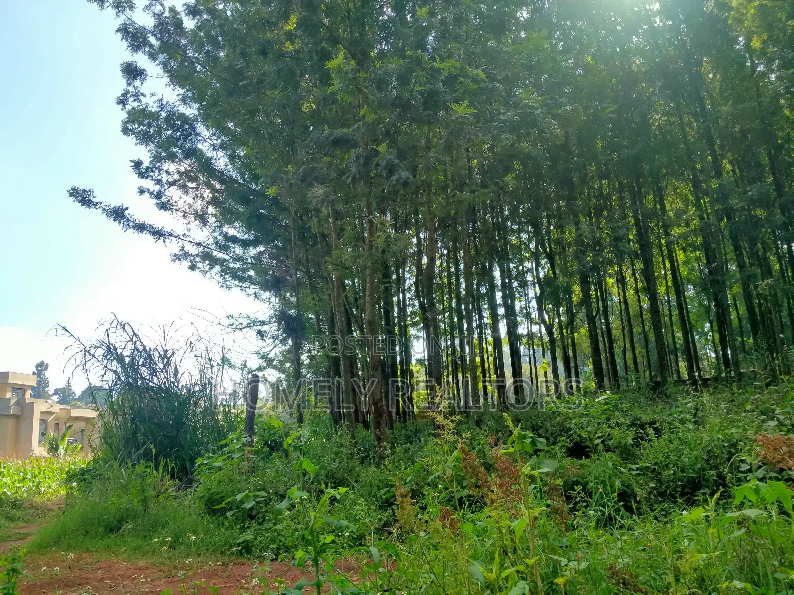 Residential Eighth Acre Plot in Kikuyu, Ondiri Near Tarmac in Kikuyu