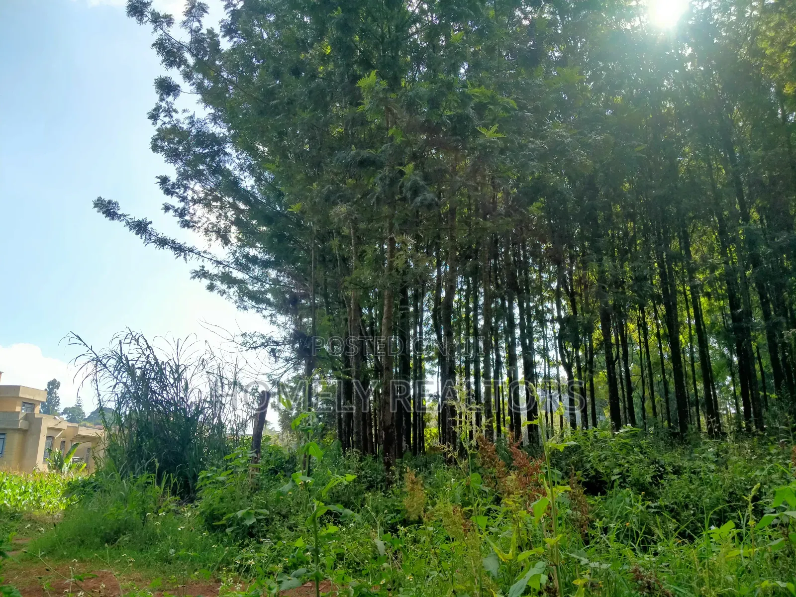 Residential Eighth Acre Plot in Kikuyu, Ondiri Near Tarmac in Kikuyu
