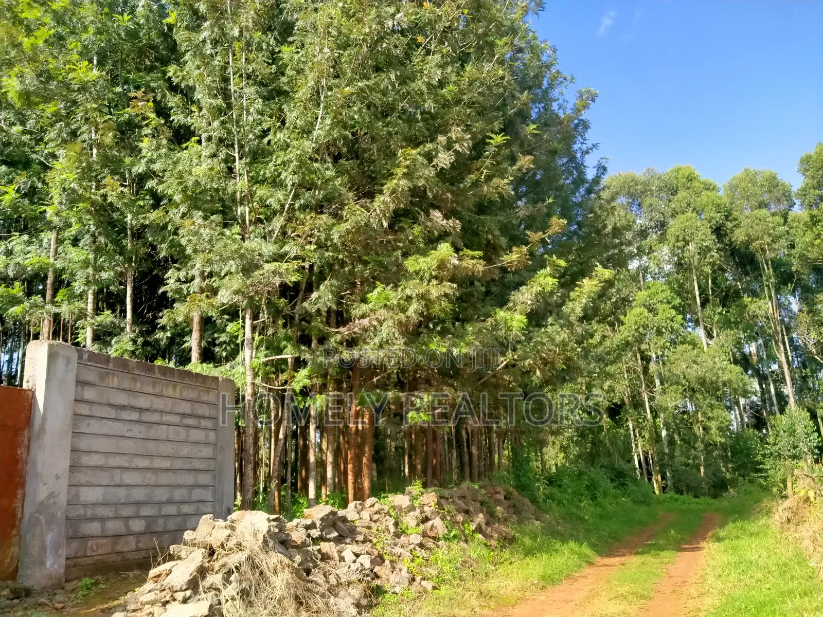 Residential Eighth Acre Plot in Kikuyu, Ondiri Near Tarmac in Kikuyu
