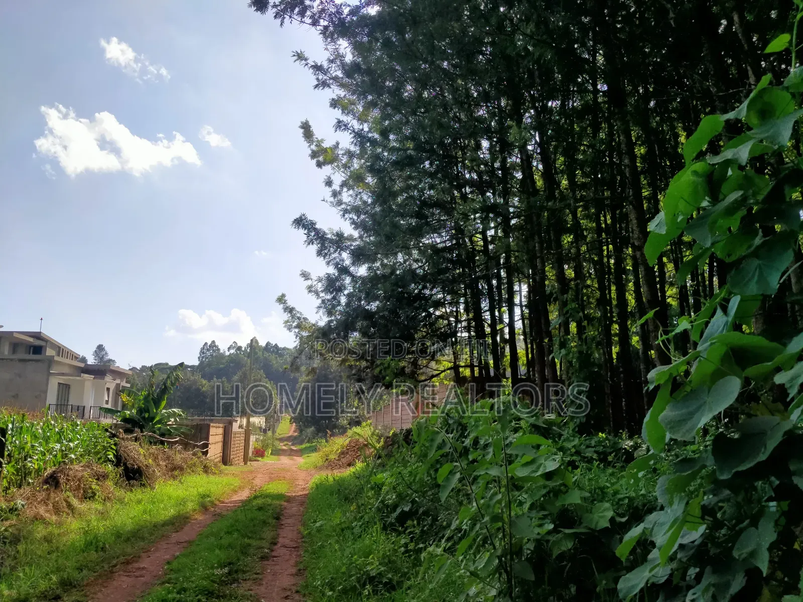 Residential Eighth Acre Plot in Kikuyu, Ondiri Near Tarmac in Kikuyu