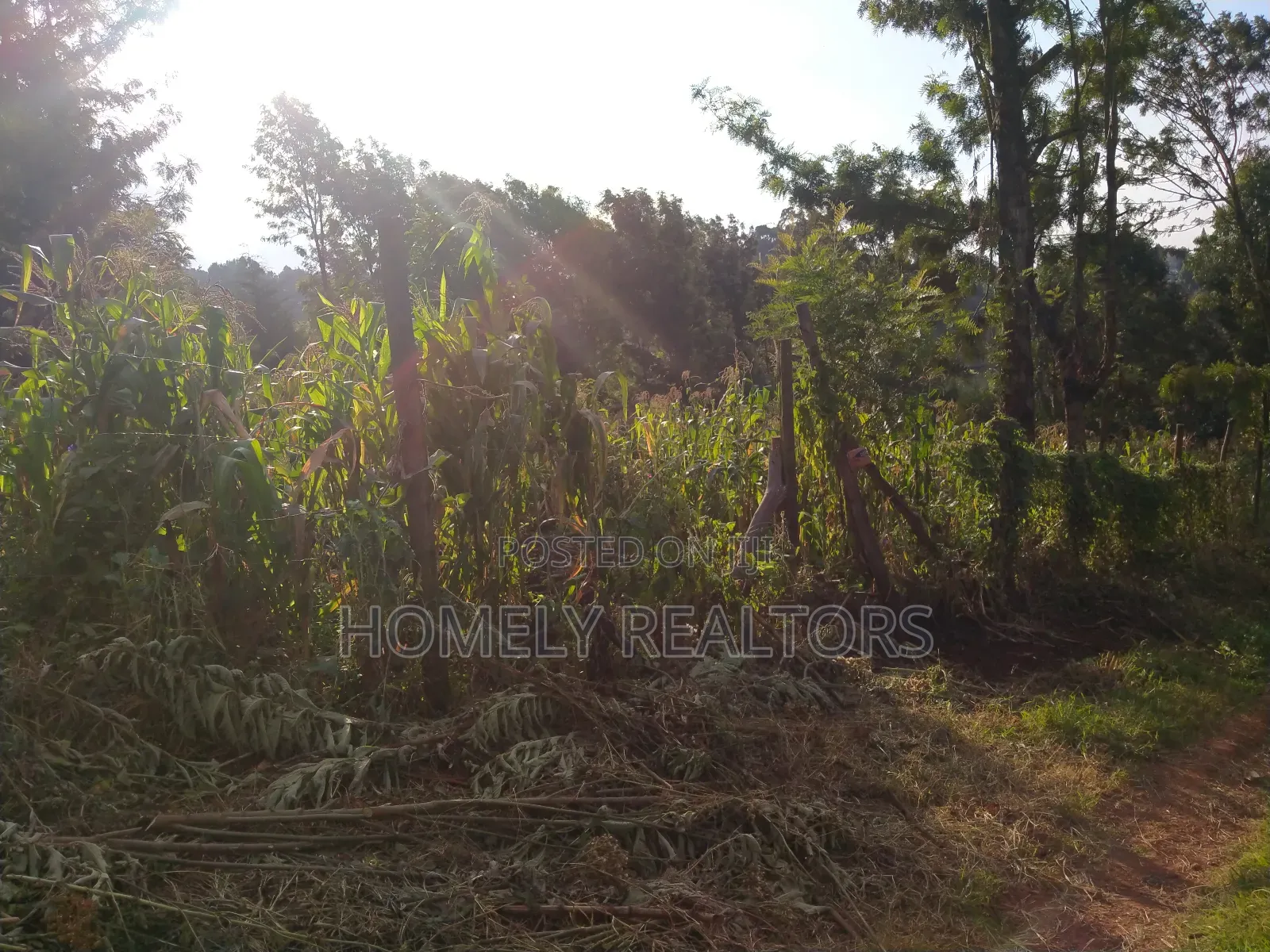 Residential Quarter Acre Plot in Ngong Lemiso Rd in Ngong