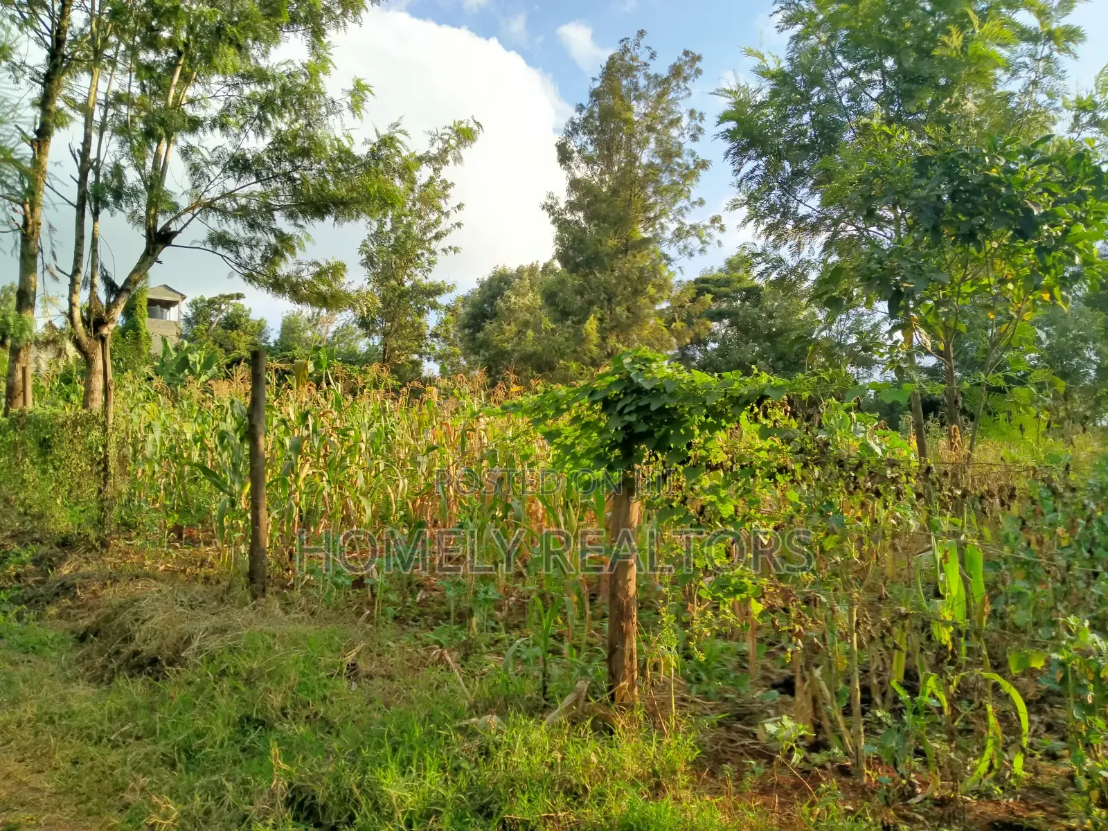Residential Quarter Acre Plot in Ngong Lemiso Rd in Ngong