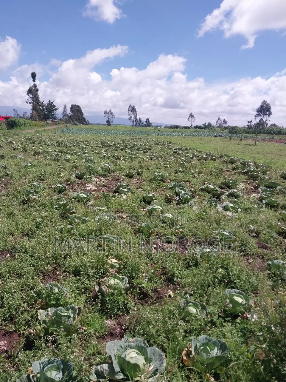2 Acres Mwendandu, Heni Area in Magumu
